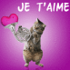 Chat musicien "Je t'aime"