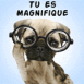 Chiot  lunettes "Tu es magnifique"