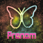Papillon n�on arc-en-ciel