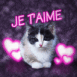 Chat et coeurs fluo "je t'aime"